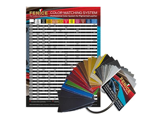 Fenice Color Matching System System for fargeidentifisering